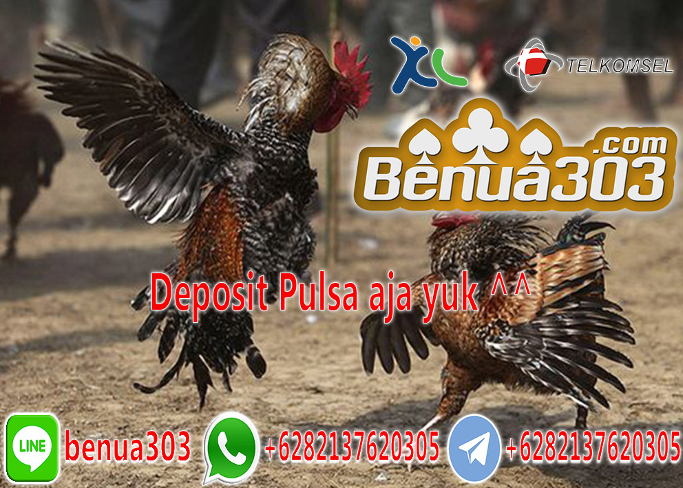 Adu Ayam Online Deposit Pakai Pulsa